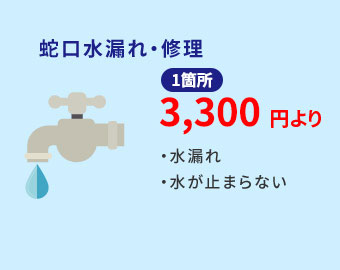 蛇口の水漏れ